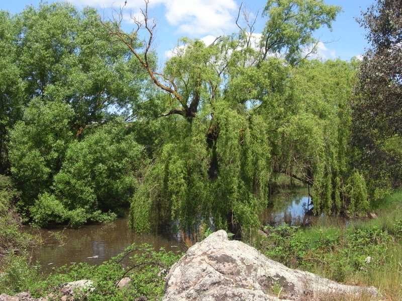 Part of Caringa – Mannus Valley, Tumbarumba NSW 2653