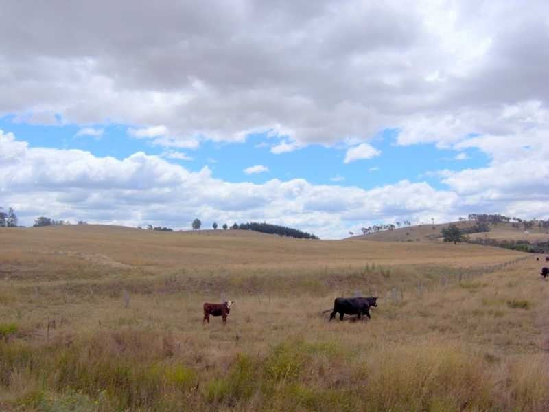 121 Glenroy Hills Road, Tumbarumba NSW 2653