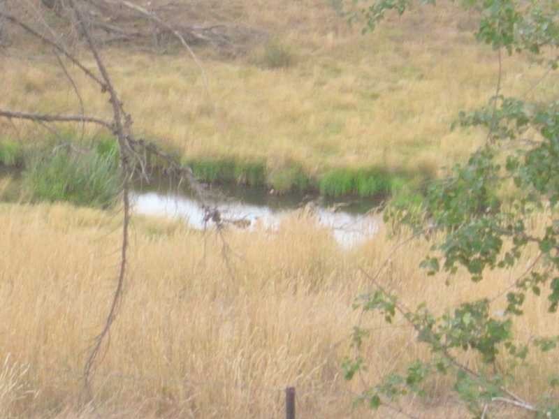 121 Glenroy Hills Road, Tumbarumba NSW 2653