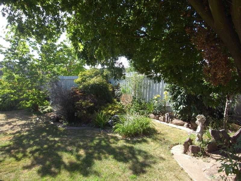 19 York Street, Tumbarumba NSW 2653