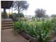 50 Clara Street, Tumbarumba NSW 2653