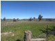356 Tooma Road, Tumbarumba NSW 2653