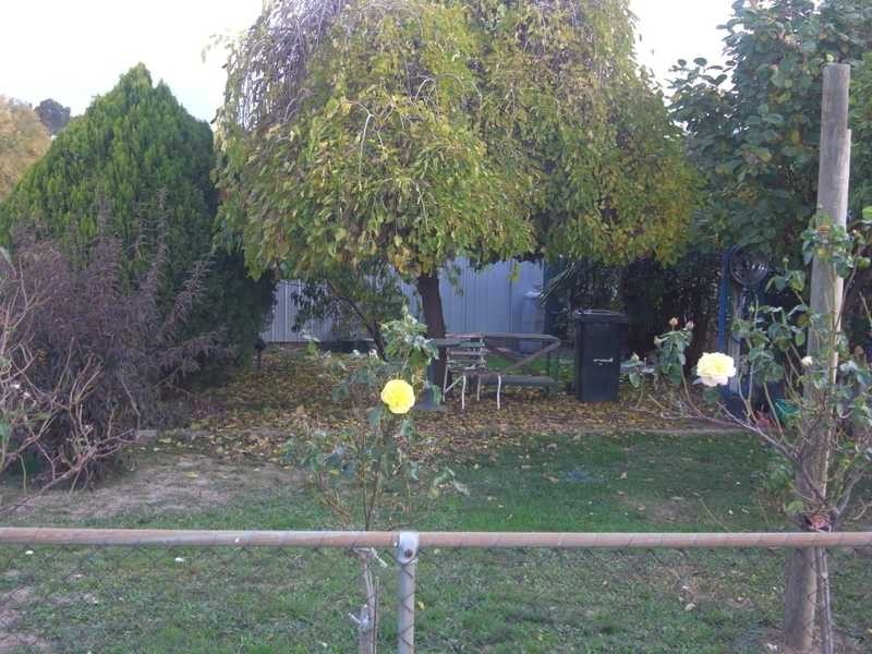 16 Regent Street, Tumbarumba NSW 2653