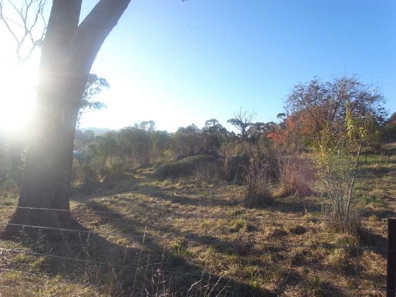 12-16 Holm Street, Tumbarumba NSW 2653