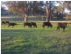 Lot 4/1942 Tooma Rd, Tumbarumba NSW 2653