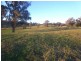 Lot 4/1942 Tooma Rd, Tumbarumba NSW 2653