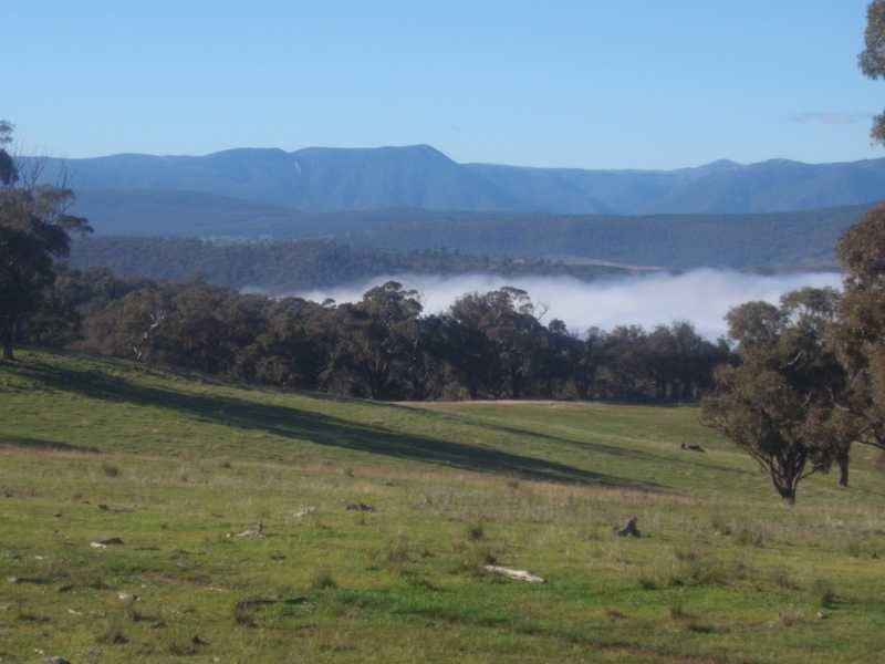 Lot 5 Padd’y River Rural Estate Tooma Rd, Tumbarumba NSW 2653