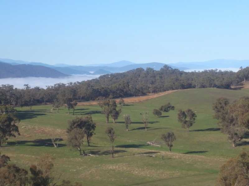 Lot 5 Padd’y River Rural Estate Tooma Rd, Tumbarumba NSW 2653