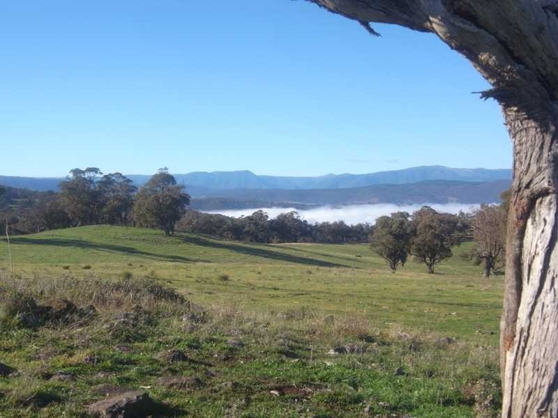 Lot 5 Padd’y River Rural Estate Tooma Rd, Tumbarumba NSW 2653