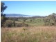 Lot 5 Padd’y River Rural Estate Tooma Rd, Tumbarumba NSW 2653