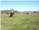 Lot 5 Padd’y River Rural Estate Tooma Rd, Tumbarumba NSW 2653