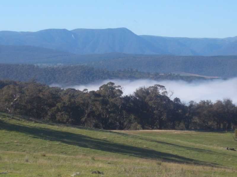 Lot 5 Padd’y River Rural Estate Tooma Rd, Tumbarumba NSW 2653