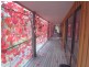 135 Elliott Way, Tumbarumba NSW 2653