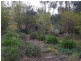 135 Elliott Way, Tumbarumba NSW 2653