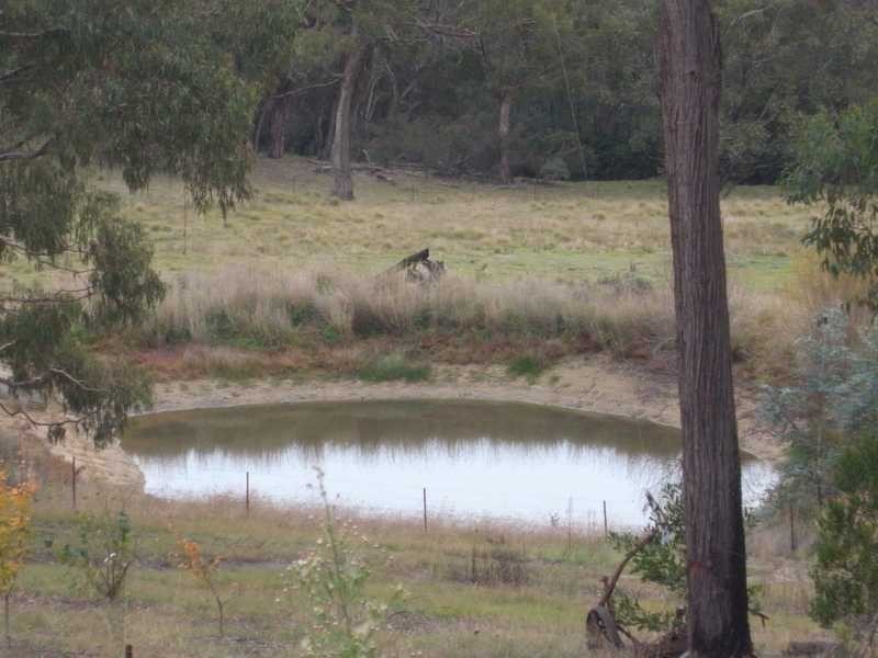 135 Elliott Way, Tumbarumba NSW 2653