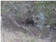 135 Elliott Way, Tumbarumba NSW 2653