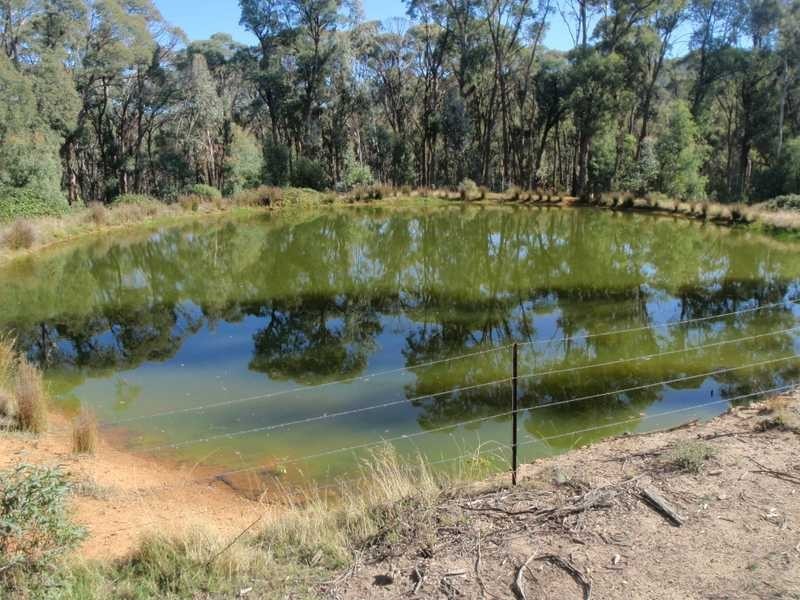 369 Moody’s Hill Rd, Tumbarumba NSW 2653