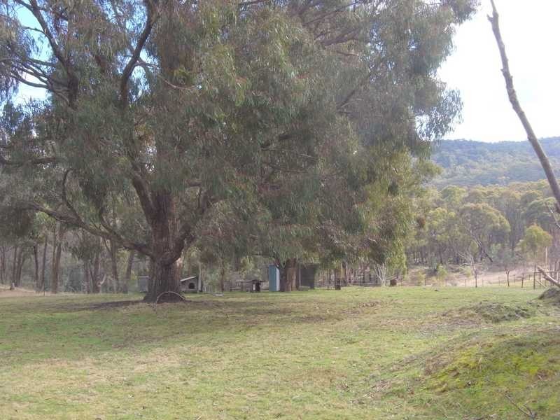 369 Moody’s Hill Rd, Tumbarumba NSW 2653
