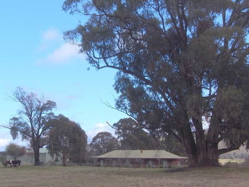 369 Moody’s Hill Rd, Tumbarumba NSW 2653