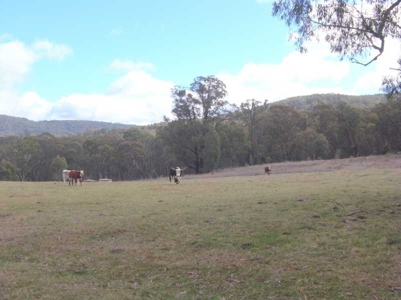 369 Moody’s Hill Rd, Tumbarumba NSW 2653