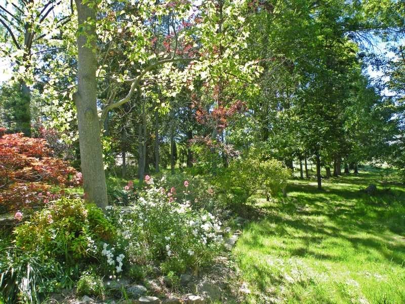 EUDLO 1081 Maragle Back Creek Road, Tumbarumba NSW 2653