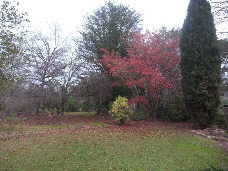 EUDLO 1081 Maragle Back Creek Road, Tumbarumba NSW 2653