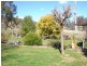 450 Batlow Road, Tumbarumba NSW 2653