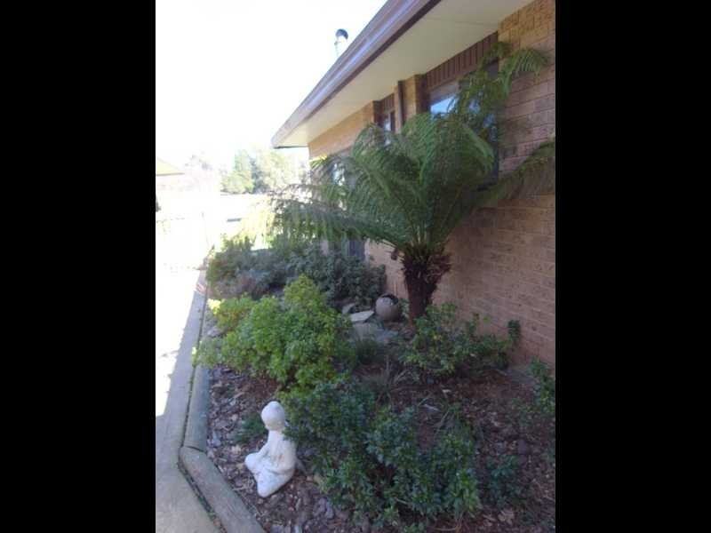 450 Batlow Road, Tumbarumba NSW 2653