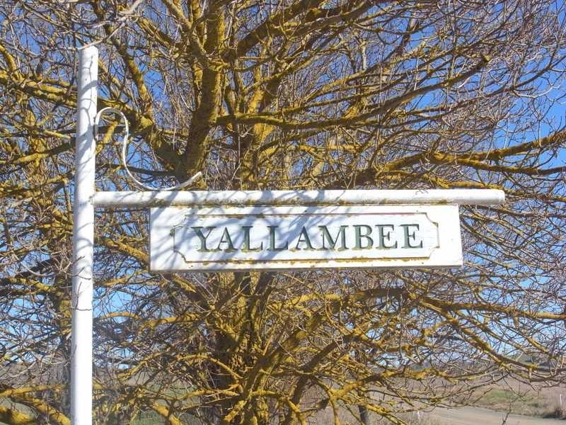 Yallambee Mannus Flat Road, Tumbarumba NSW 2653