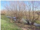 Yallambee Mannus Flat Road, Tumbarumba NSW 2653