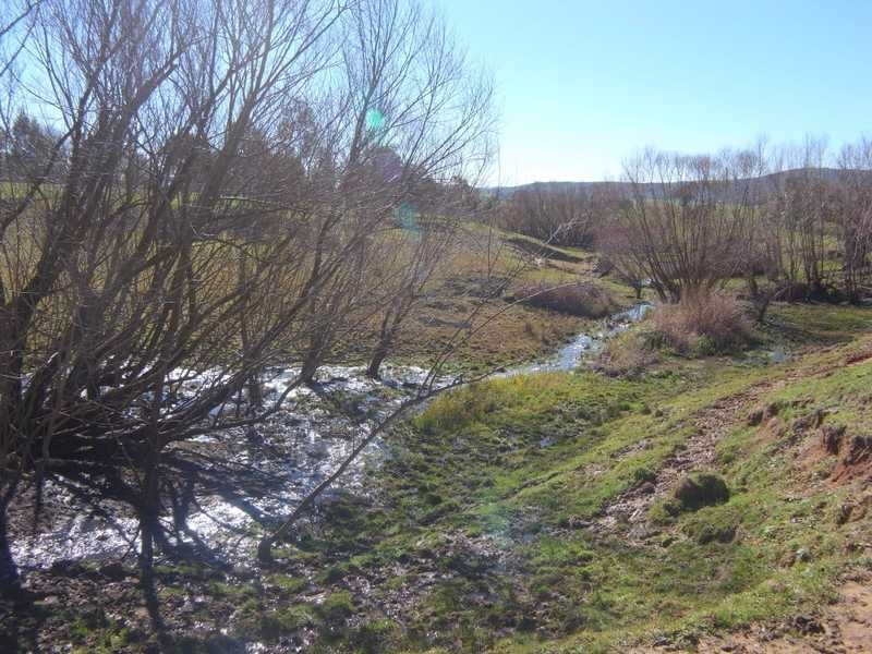 Yallambee Mannus Flat Road, Tumbarumba NSW 2653