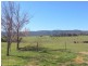 Yallambee Mannus Flat Road, Tumbarumba NSW 2653