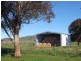 Yallambee Mannus Flat Road, Tumbarumba NSW 2653