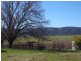 Yallambee Mannus Flat Road, Tumbarumba NSW 2653