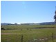 Yallambee Mannus Flat Road, Tumbarumba NSW 2653