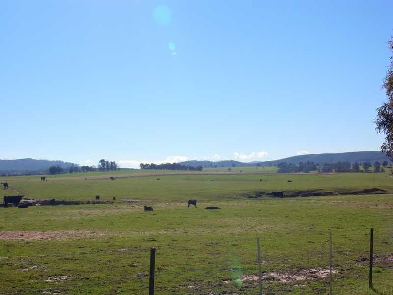 Yallambee Mannus Flat Road, Tumbarumba NSW 2653