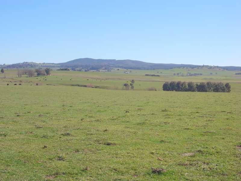 Yallambee Mannus Flat Road, Tumbarumba NSW 2653
