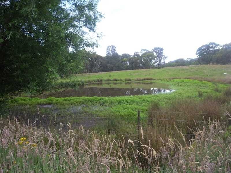 69 Bago Forest Road, Tumbarumba NSW 2653