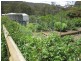 69 Bago Forest Road, Tumbarumba NSW 2653