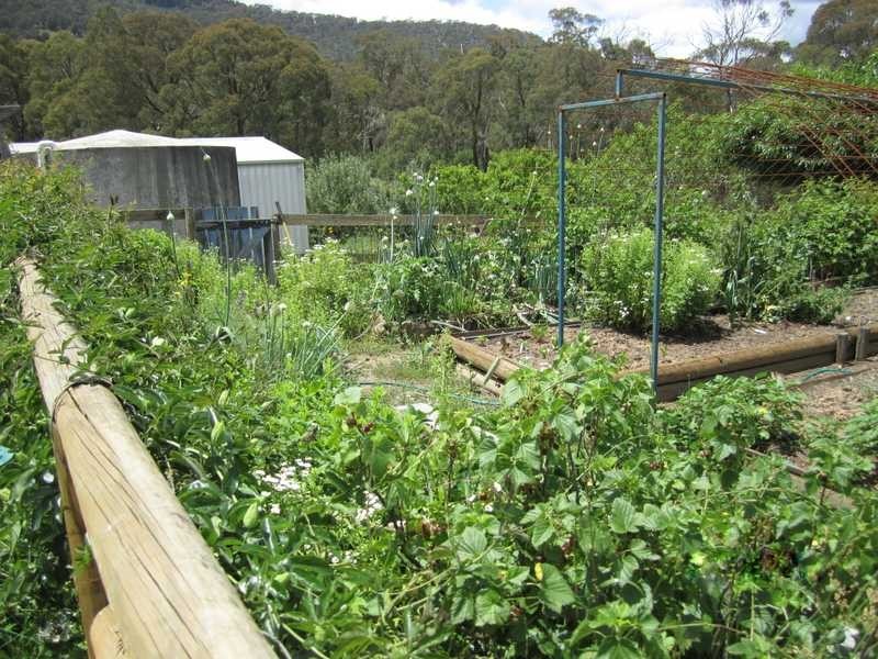 69 Bago Forest Road, Tumbarumba NSW 2653
