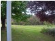 69 Bago Forest Road, Tumbarumba NSW 2653