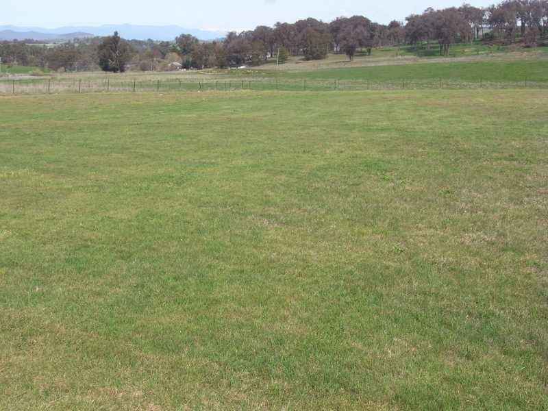 Lot 12 Langland Street, Tumbarumba NSW 2653