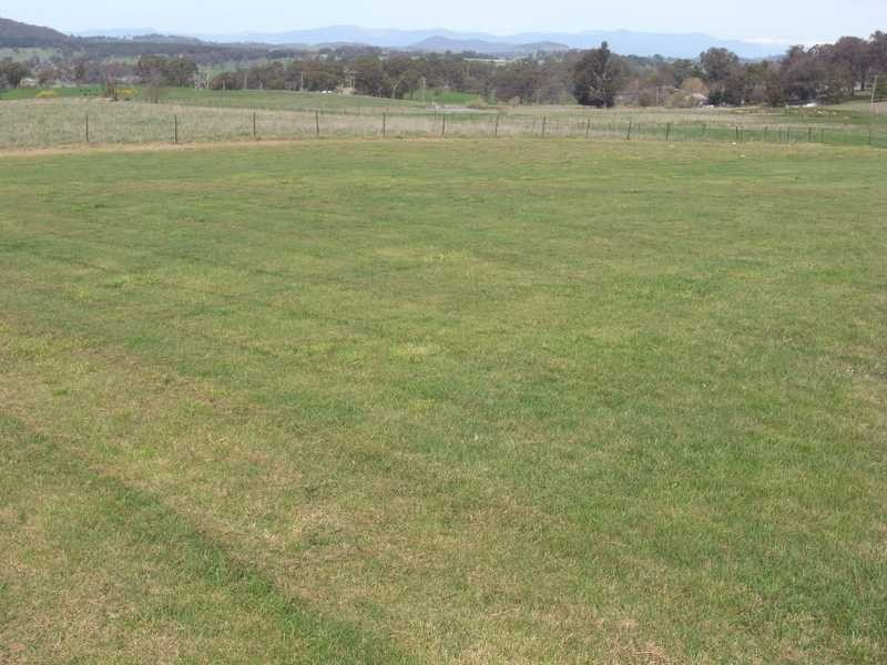 Lot 12 Langland Street, Tumbarumba NSW 2653