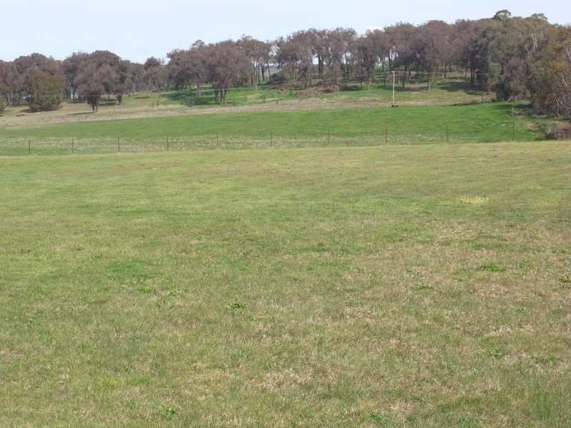 Lot 12 Langland Street, Tumbarumba NSW 2653