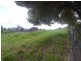 14 Park Street, Tumbarumba NSW 2653