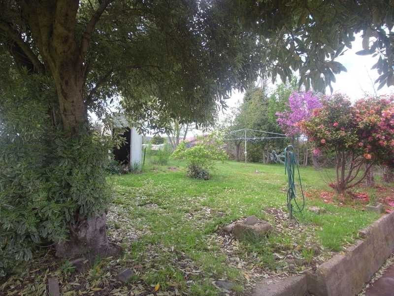 14 Park Street, Tumbarumba NSW 2653