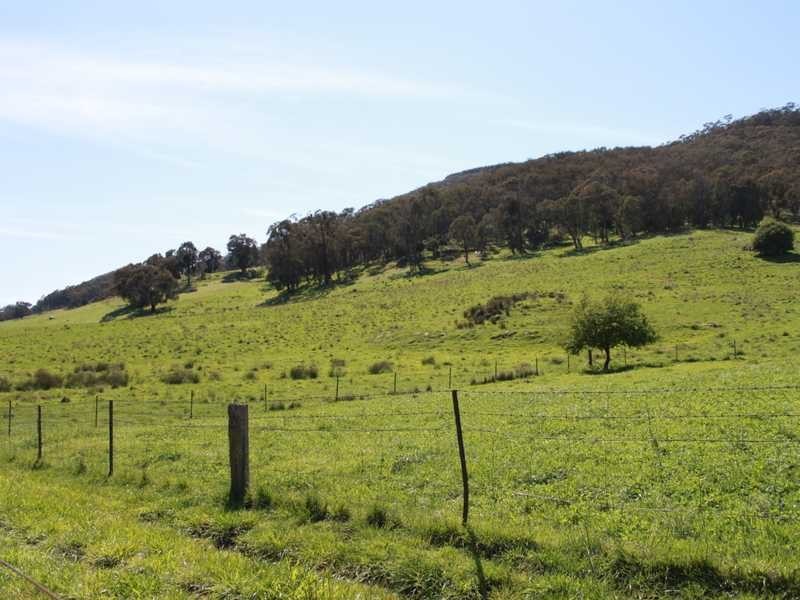 470 Batlow Road, Tumbarumba NSW 2653