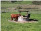 470 Batlow Road, Tumbarumba NSW 2653
