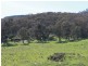 470 Batlow Road, Tumbarumba NSW 2653