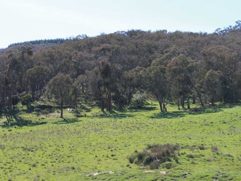 470 Batlow Road, Tumbarumba NSW 2653